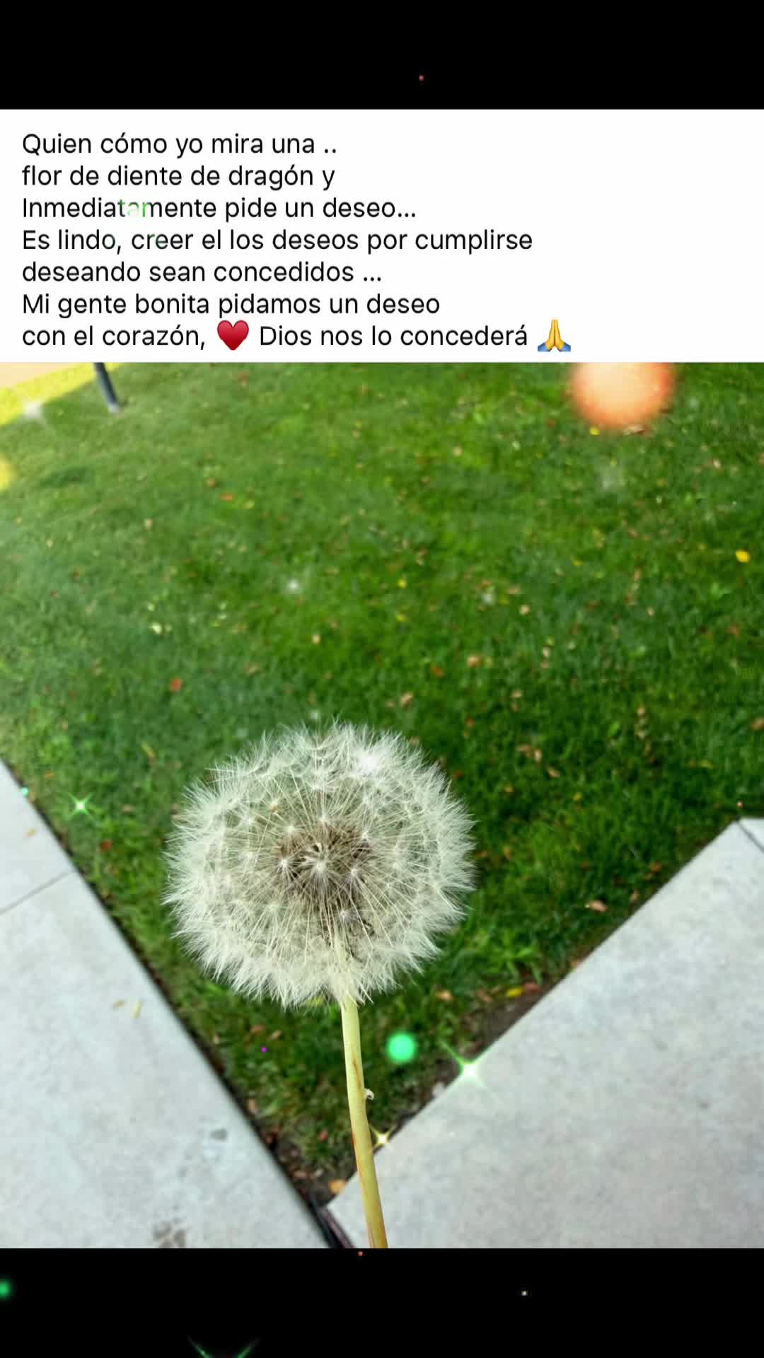 @Marisela Vazquez