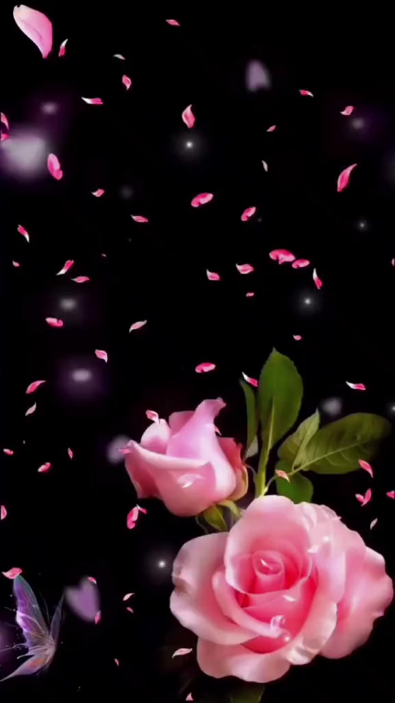 @دقات ❤قلبي❤ نايا