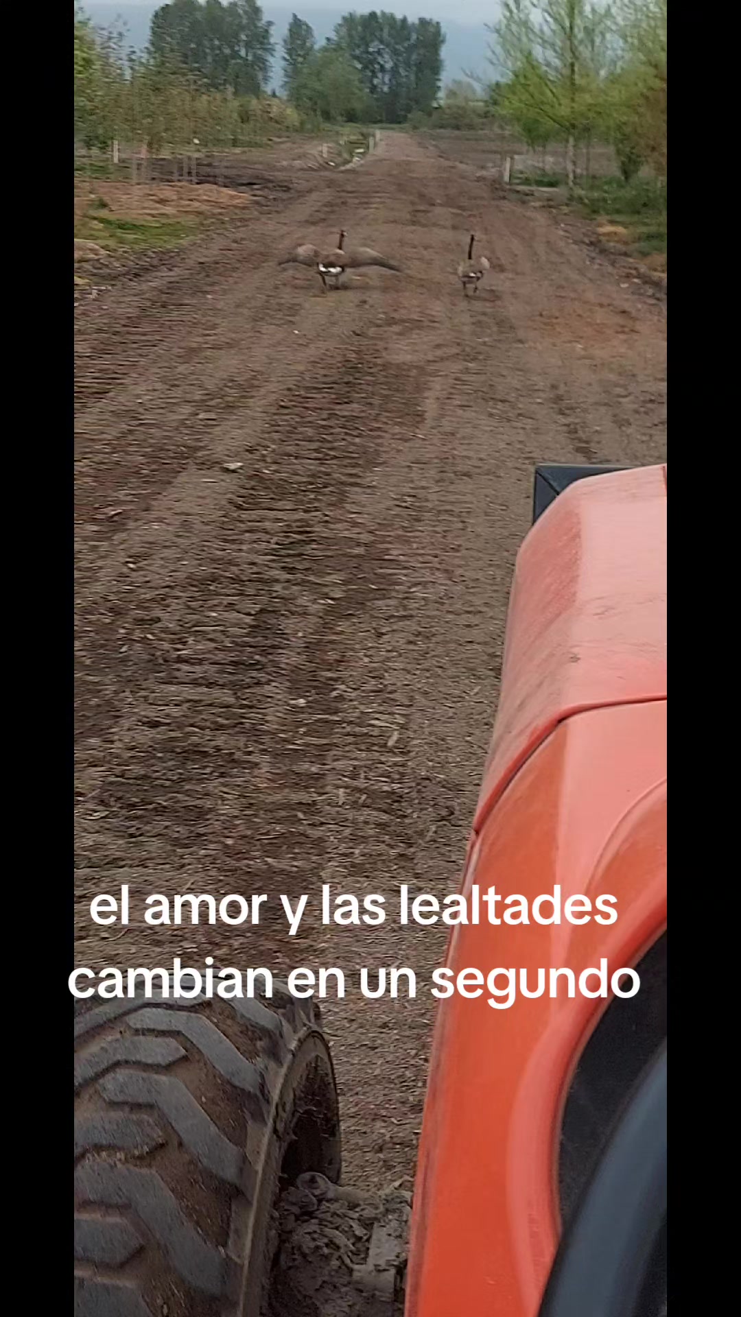 @osias