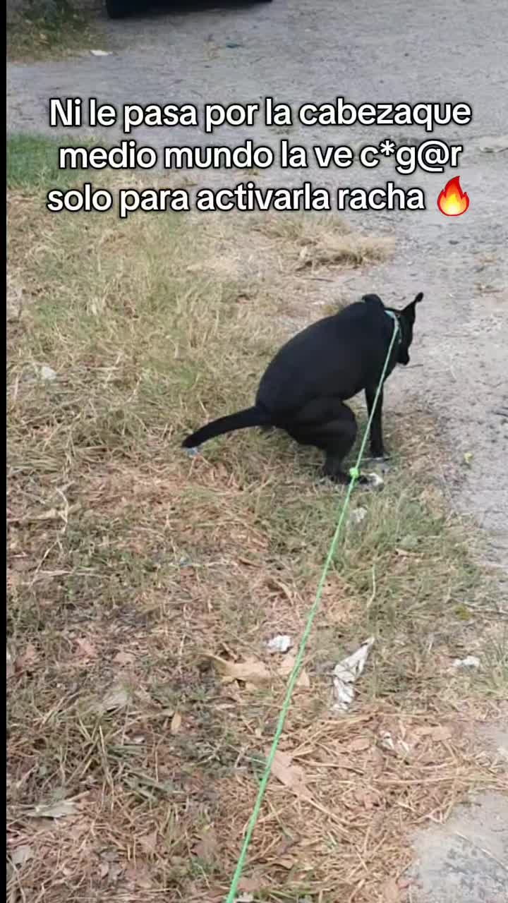 @Esteban Álvarez