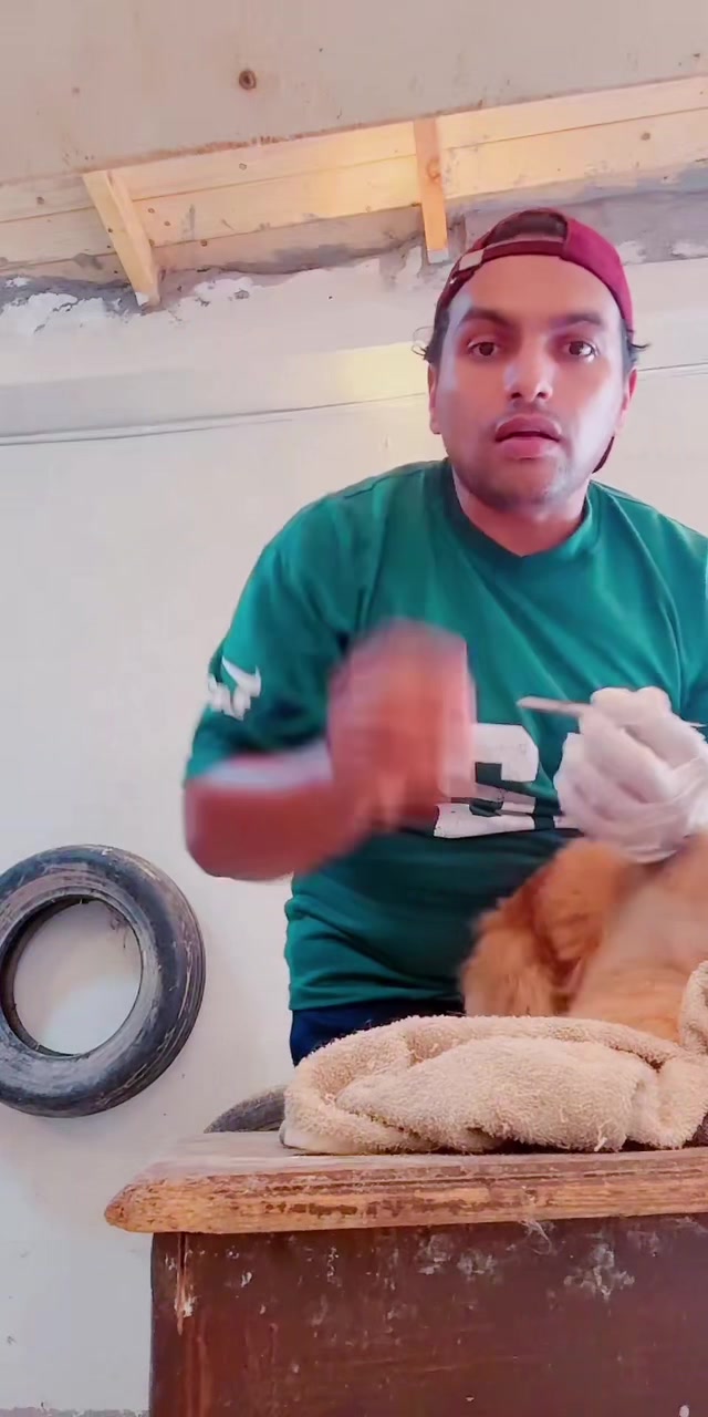 @mohammed and his cats😺