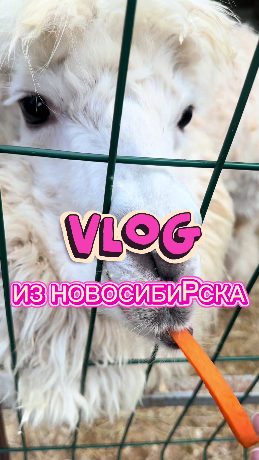 @светильник