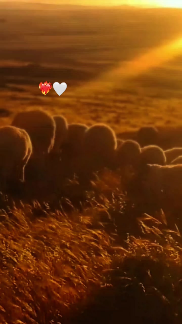 @Ãli khadroui ❤️🔥