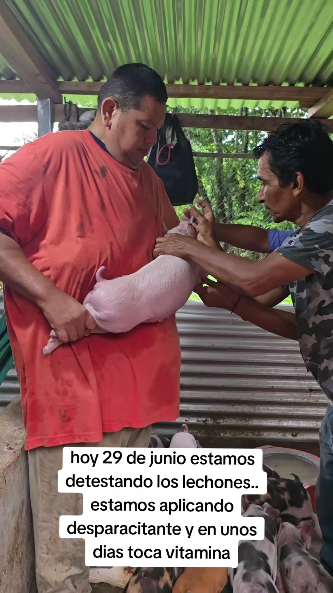 @ELDER VILLA CASTILLO