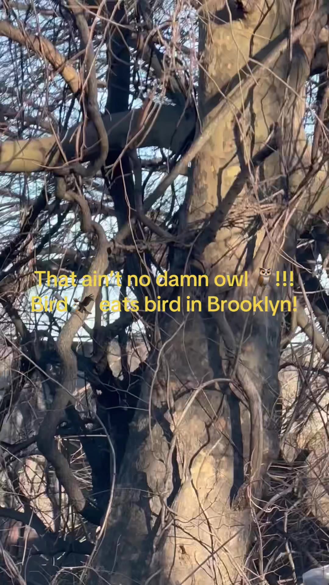 @BlizPennWortman