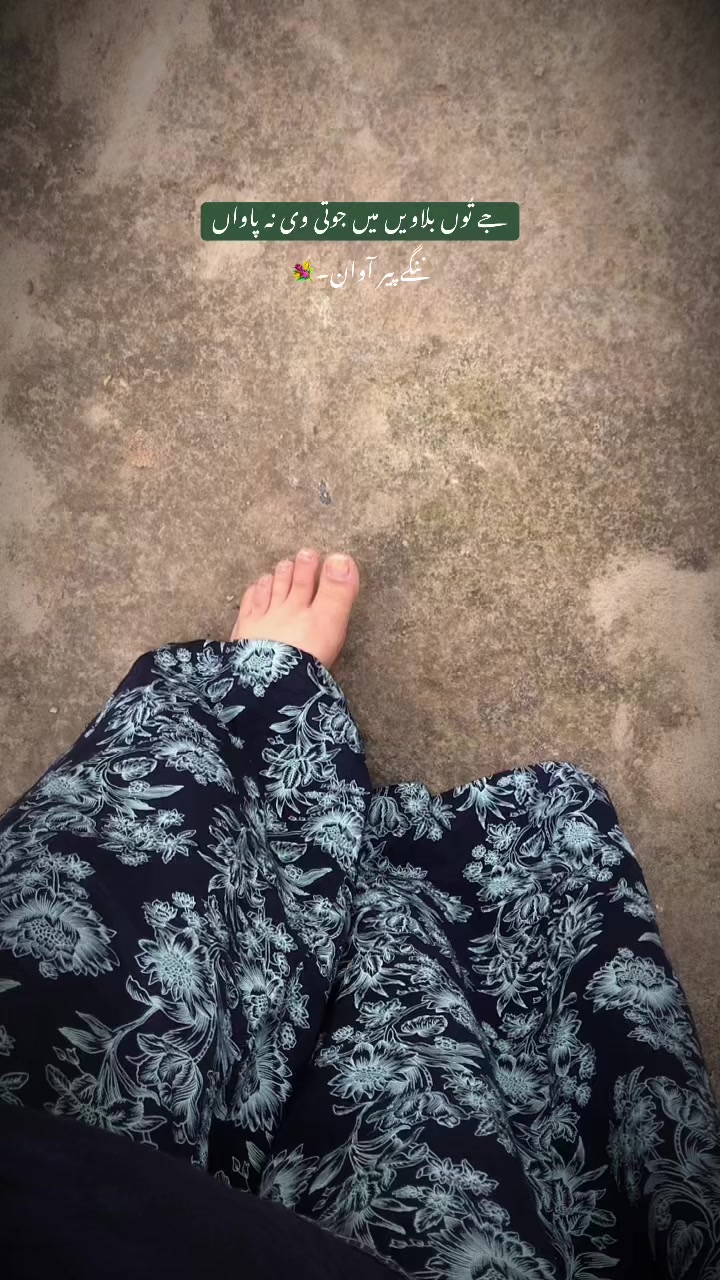 @🦋