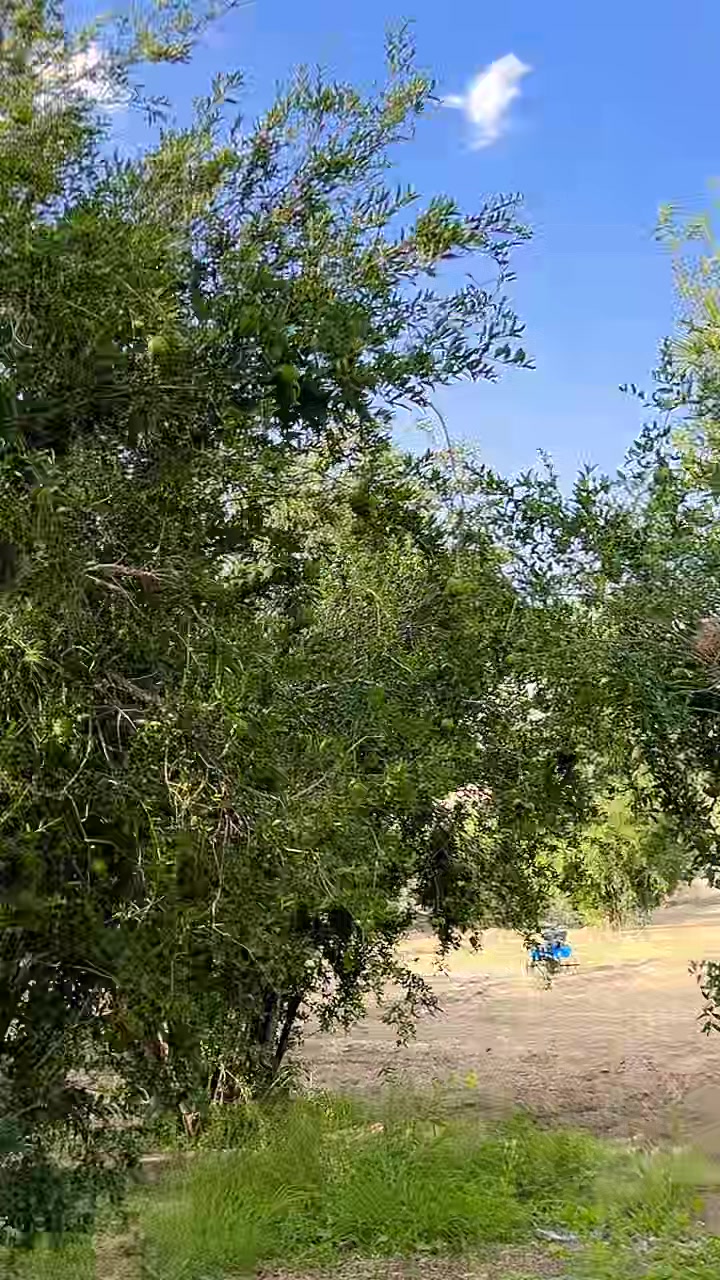 @🇸🇦🄼🄰🄻🄸🄺.🅆🄰🅀🄰🅁🇵🇰