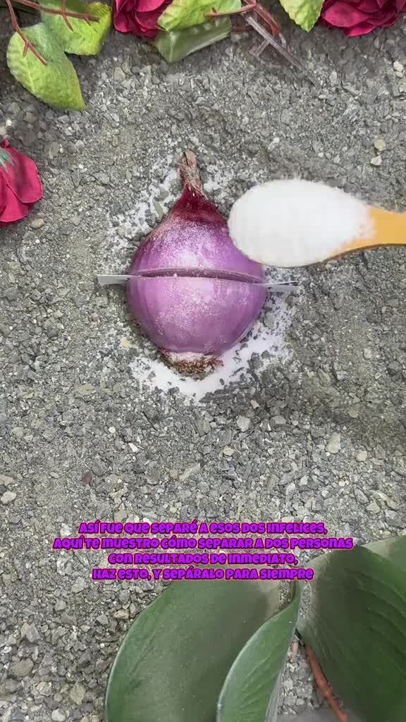 @De 21 división