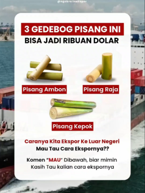 @NGOBROLINEKSPOR.COM