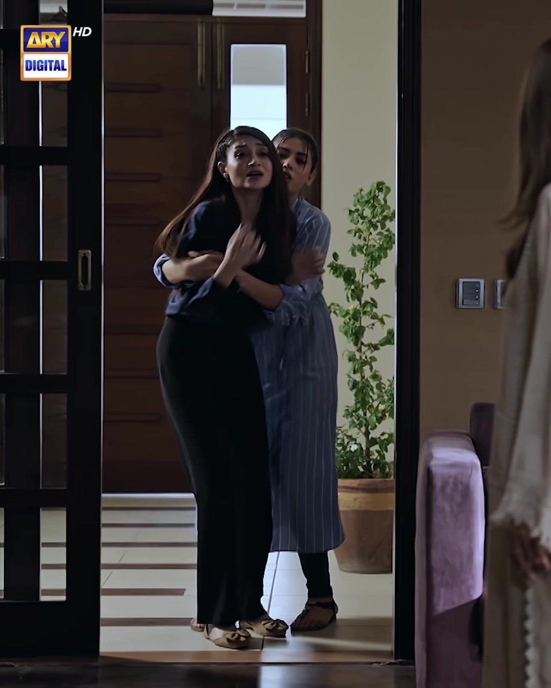 @ARY DIGITAL
