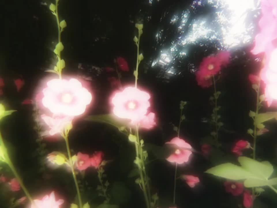 @𝘿𝙄𝙂𝙄𝙏𝘼𝙇𝙄𝙎