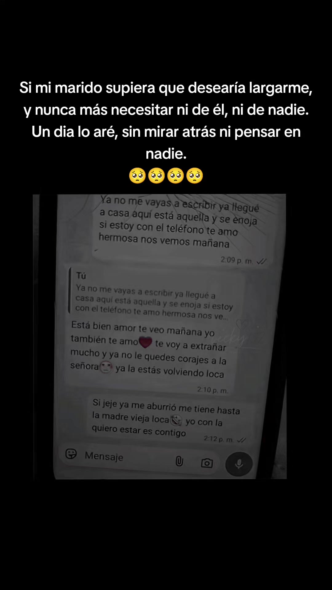 @vecky