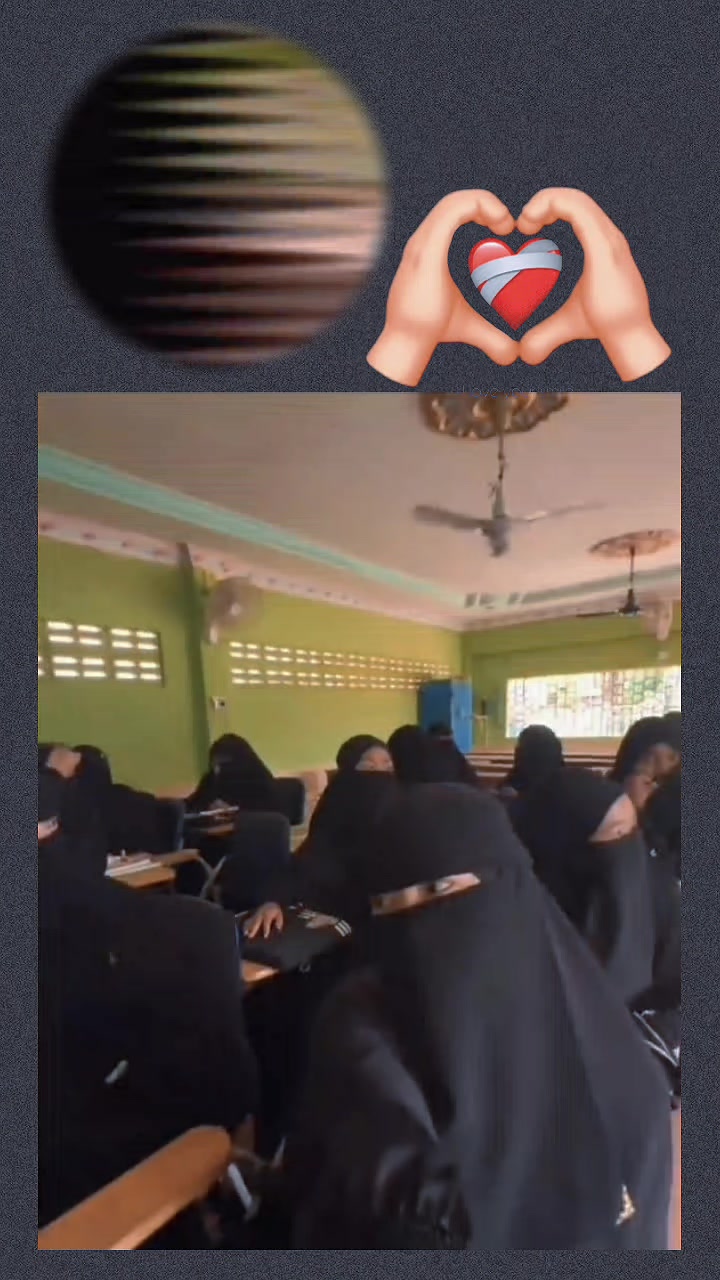 @وردة الجنة🤍