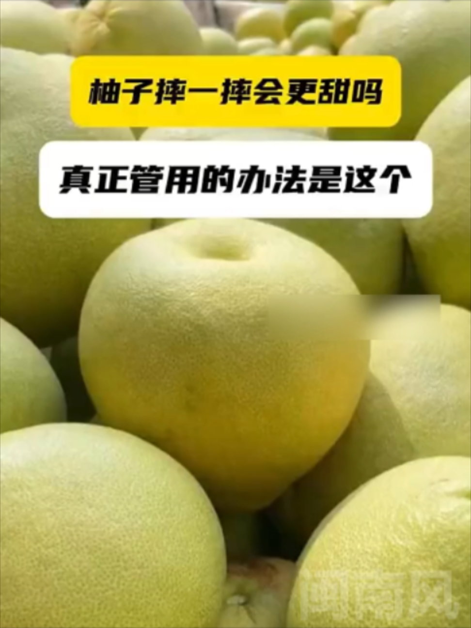 @闽南风~