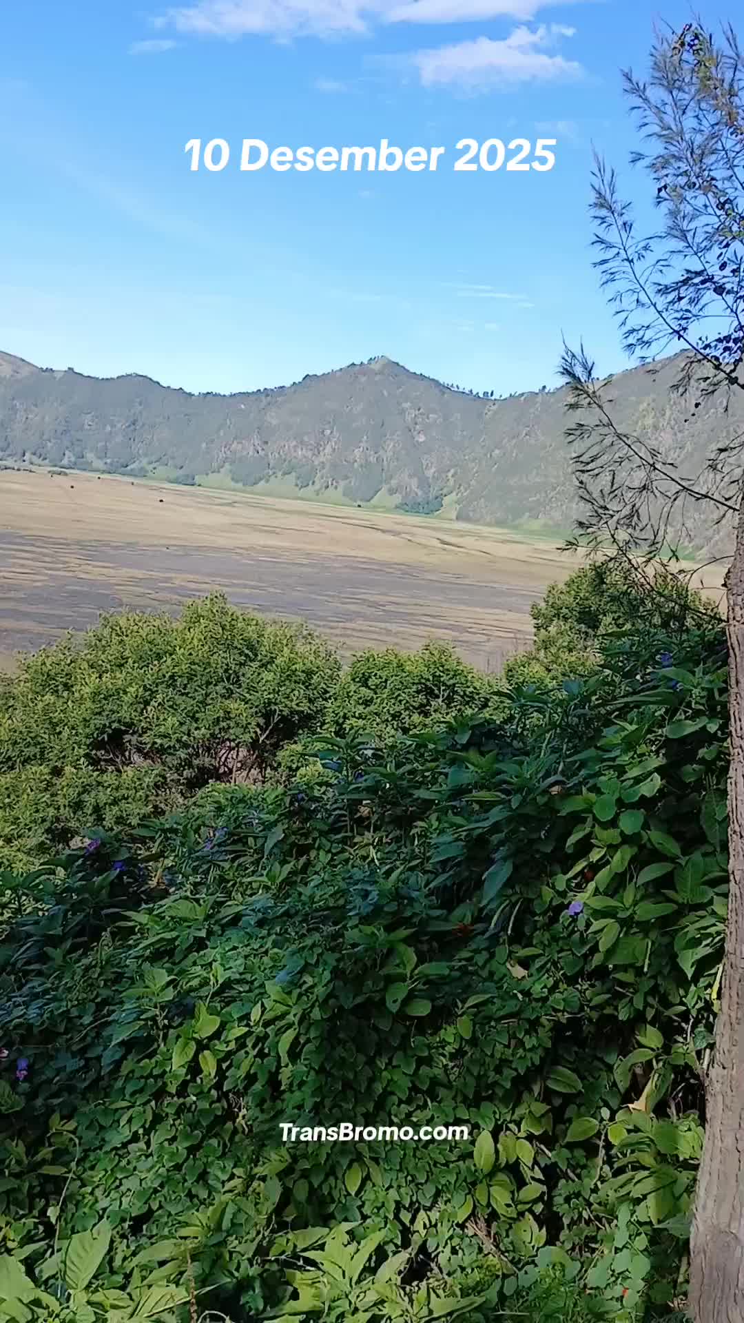 @transbromo