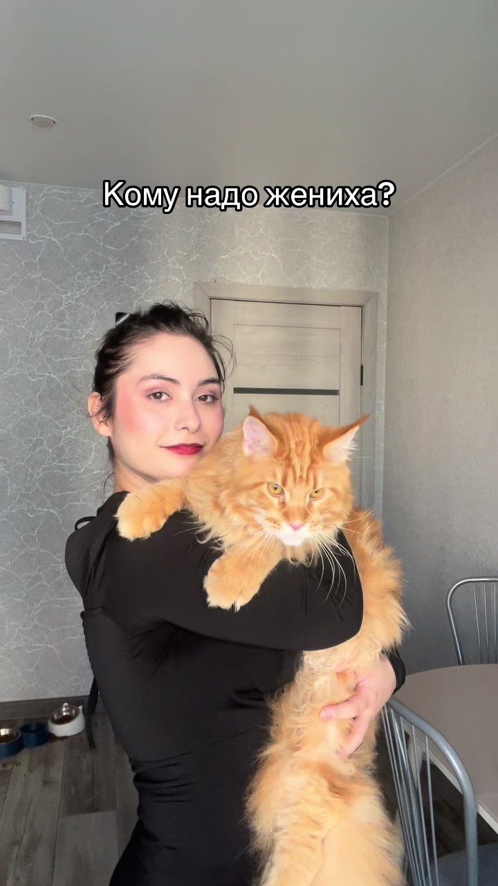 @политология/психология/МО