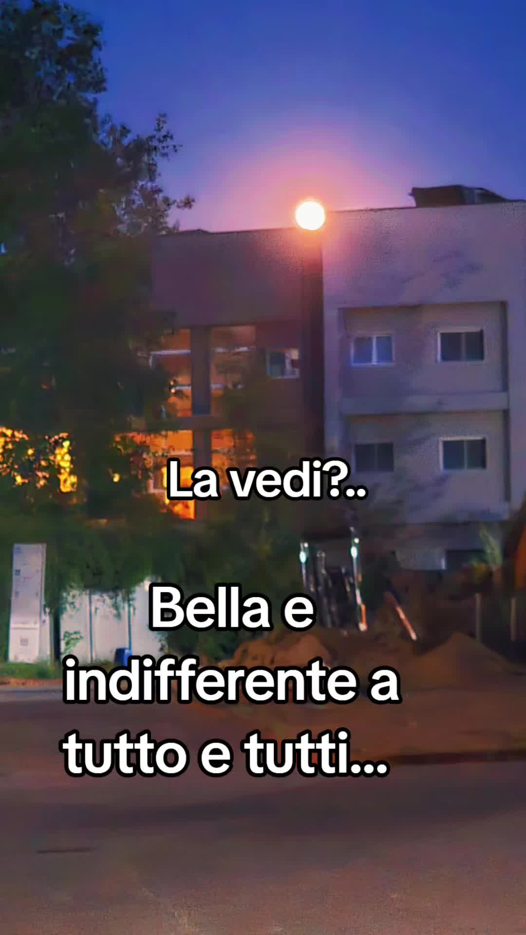 @Anima Nera