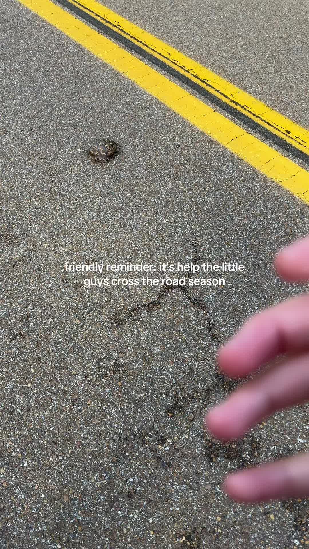 @haleywilson