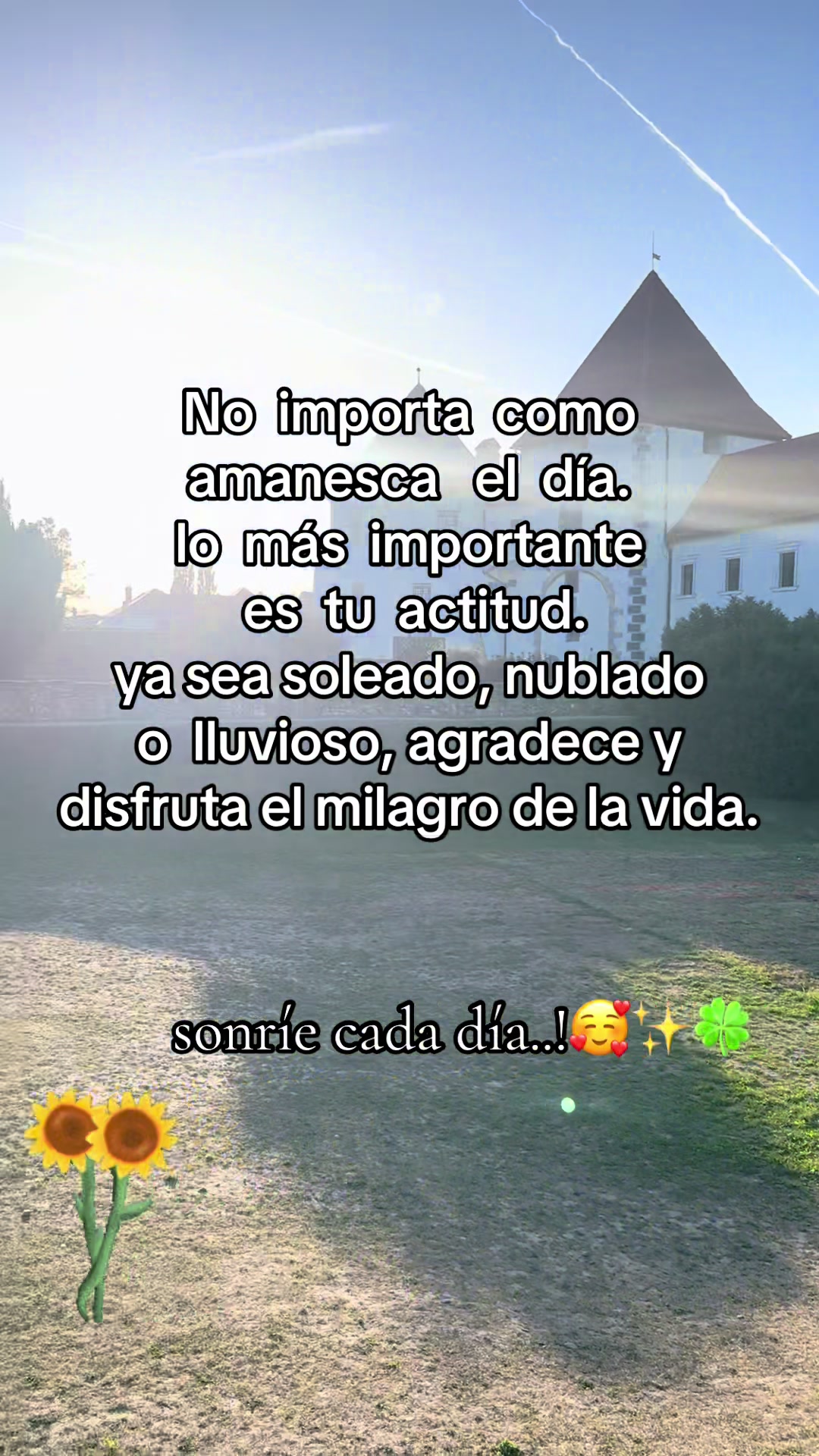 @Claudia Silva