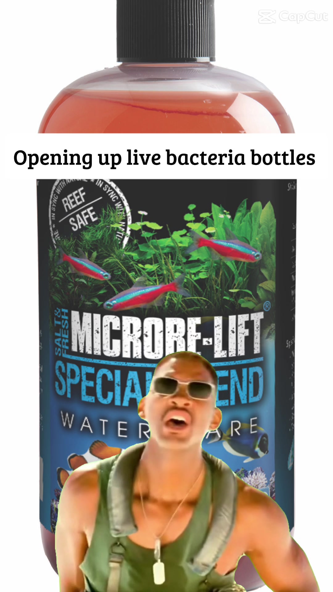 @ReefTok