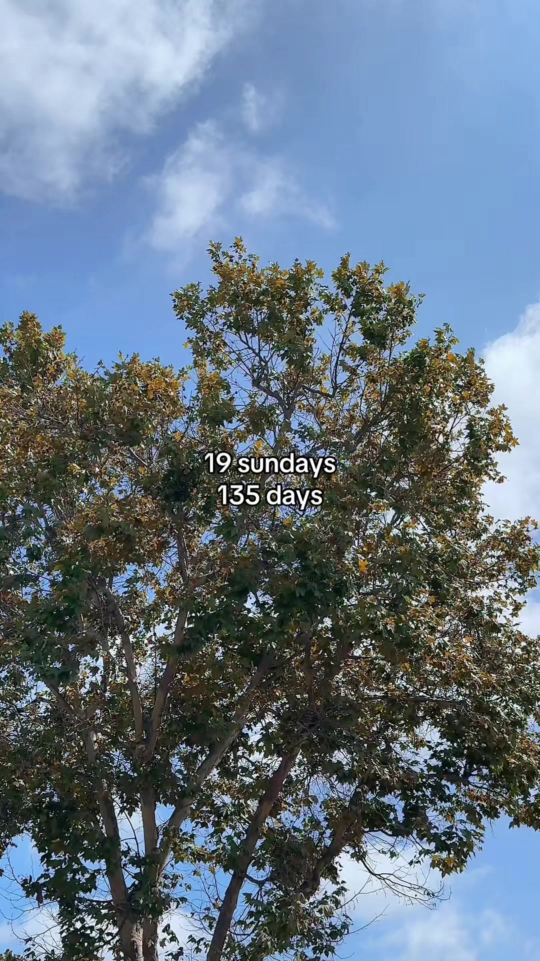 @Kaitlyn In Every Season