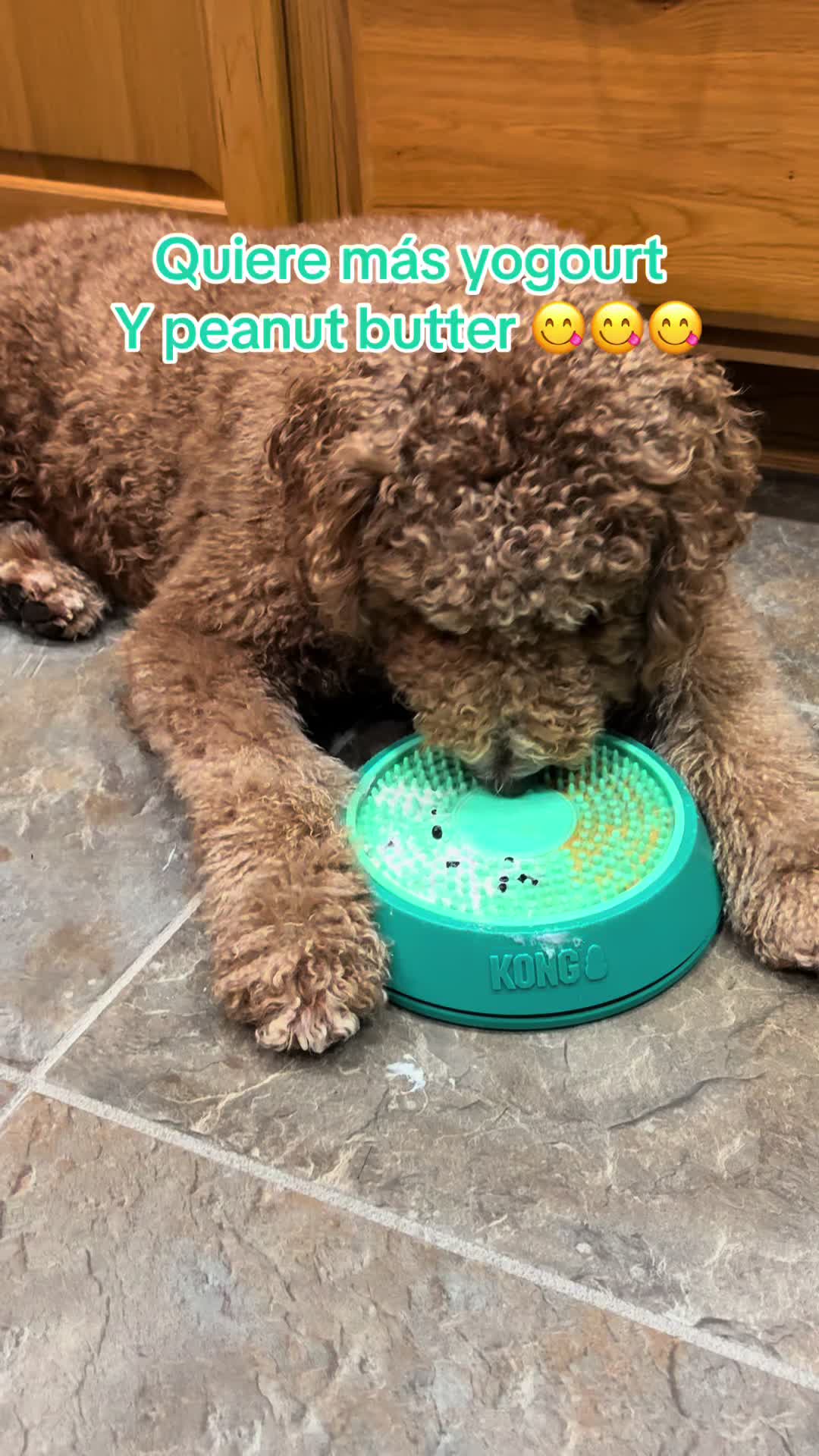 @Reyna y Churro 🐶😍