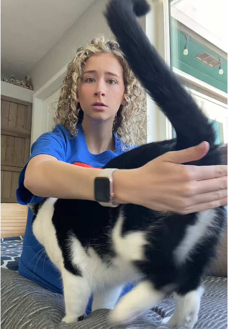 @flekioh