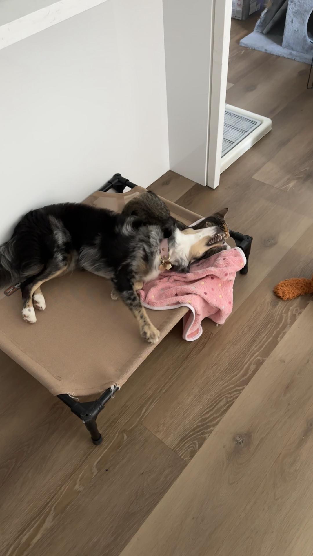 @OBtoebeans&Luna
