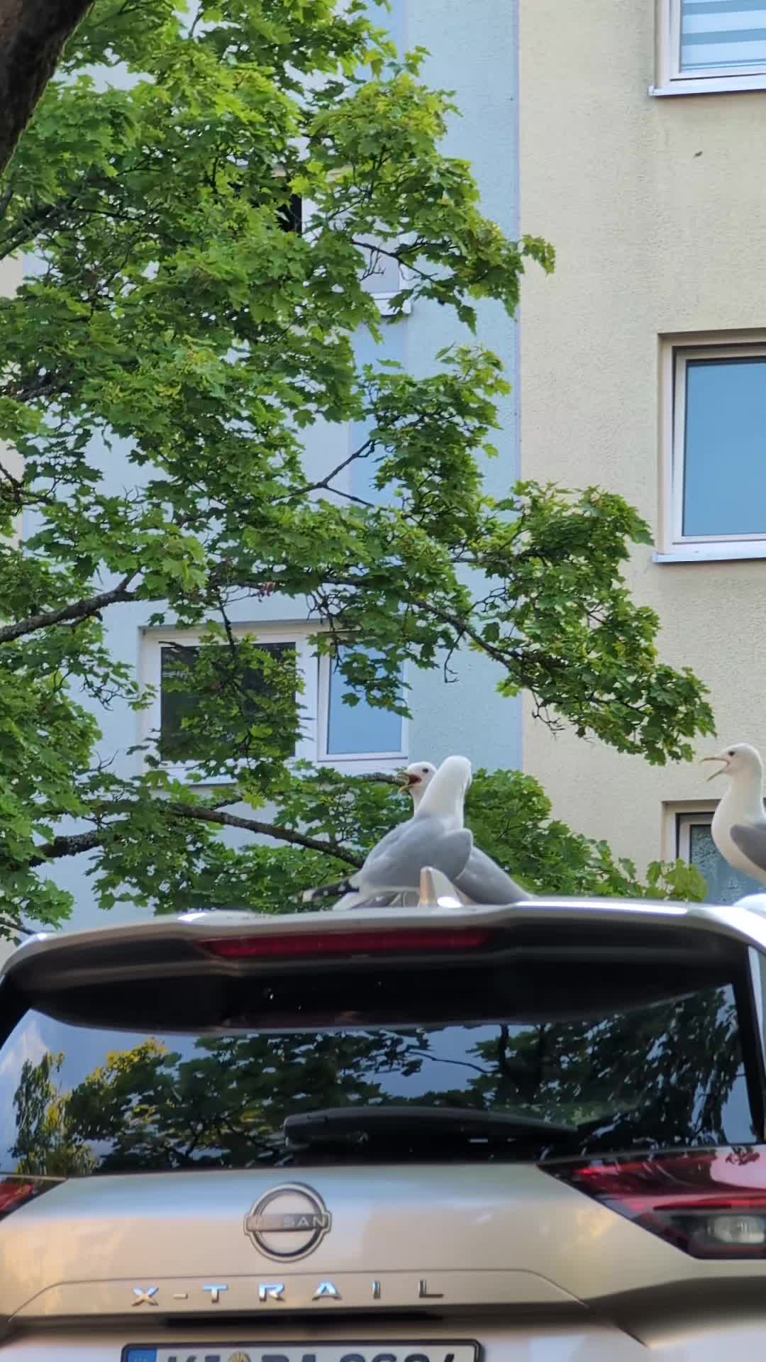 @⛵🧭⚓Küstenlümmel⚓🧭⛵