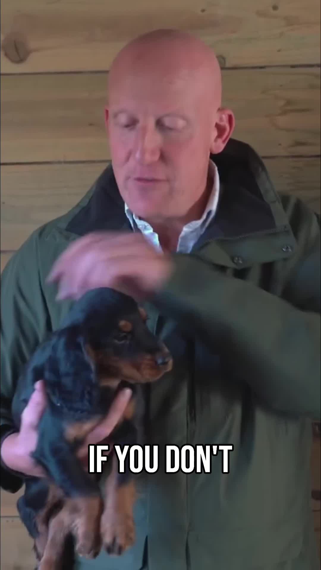 @Mordor Gundogs