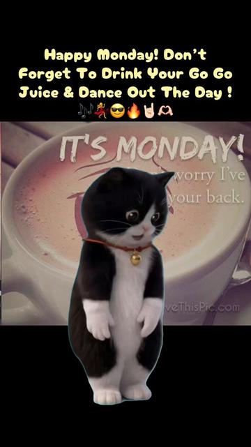 @Renee Venus Genโ๐๐ป๐ฏ๐๐ป