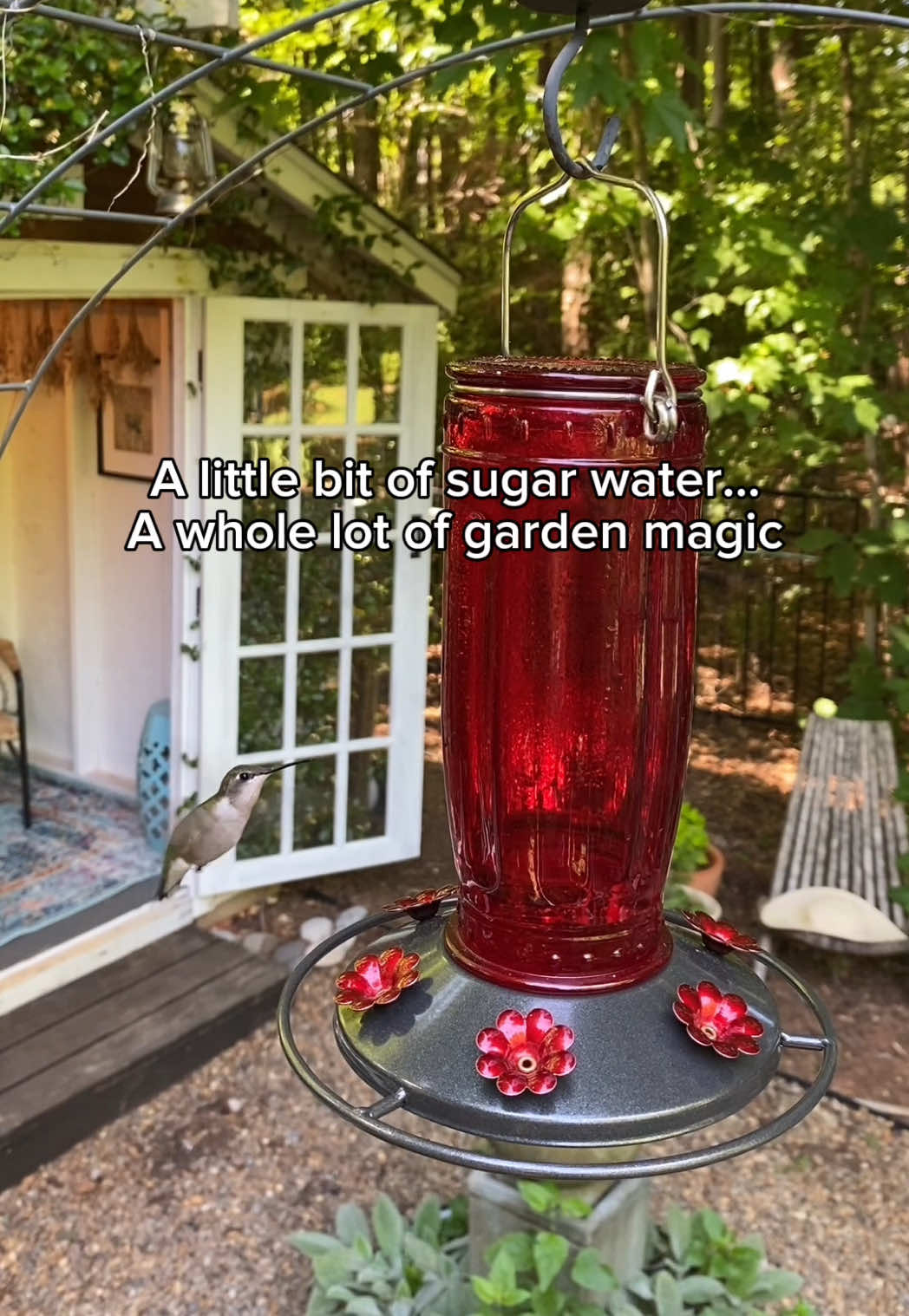 @The Ever Hopeful Gardener