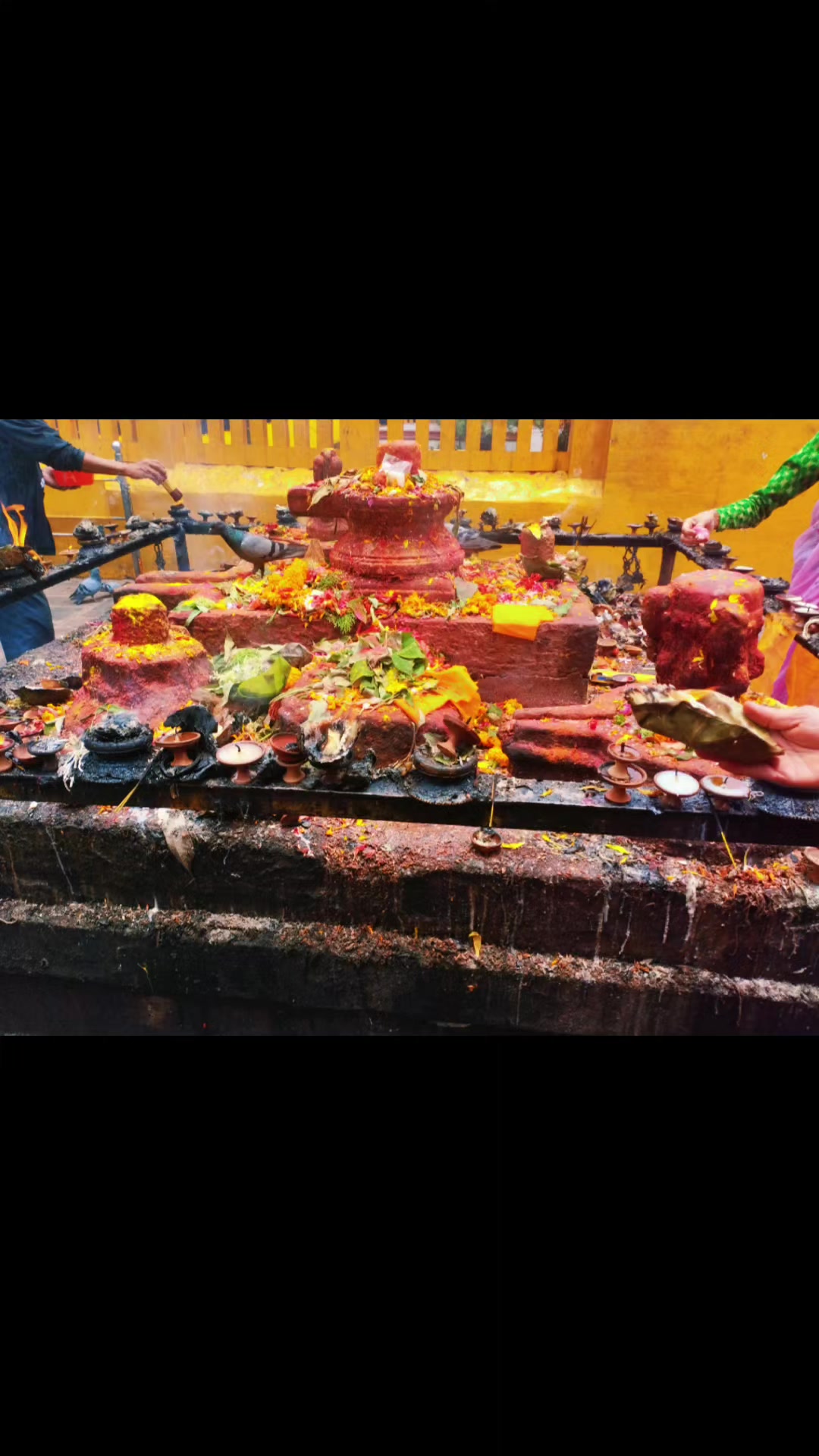 @Jai Shree Mahakal ๐ฑ๐๐๏ธ๐ฉ