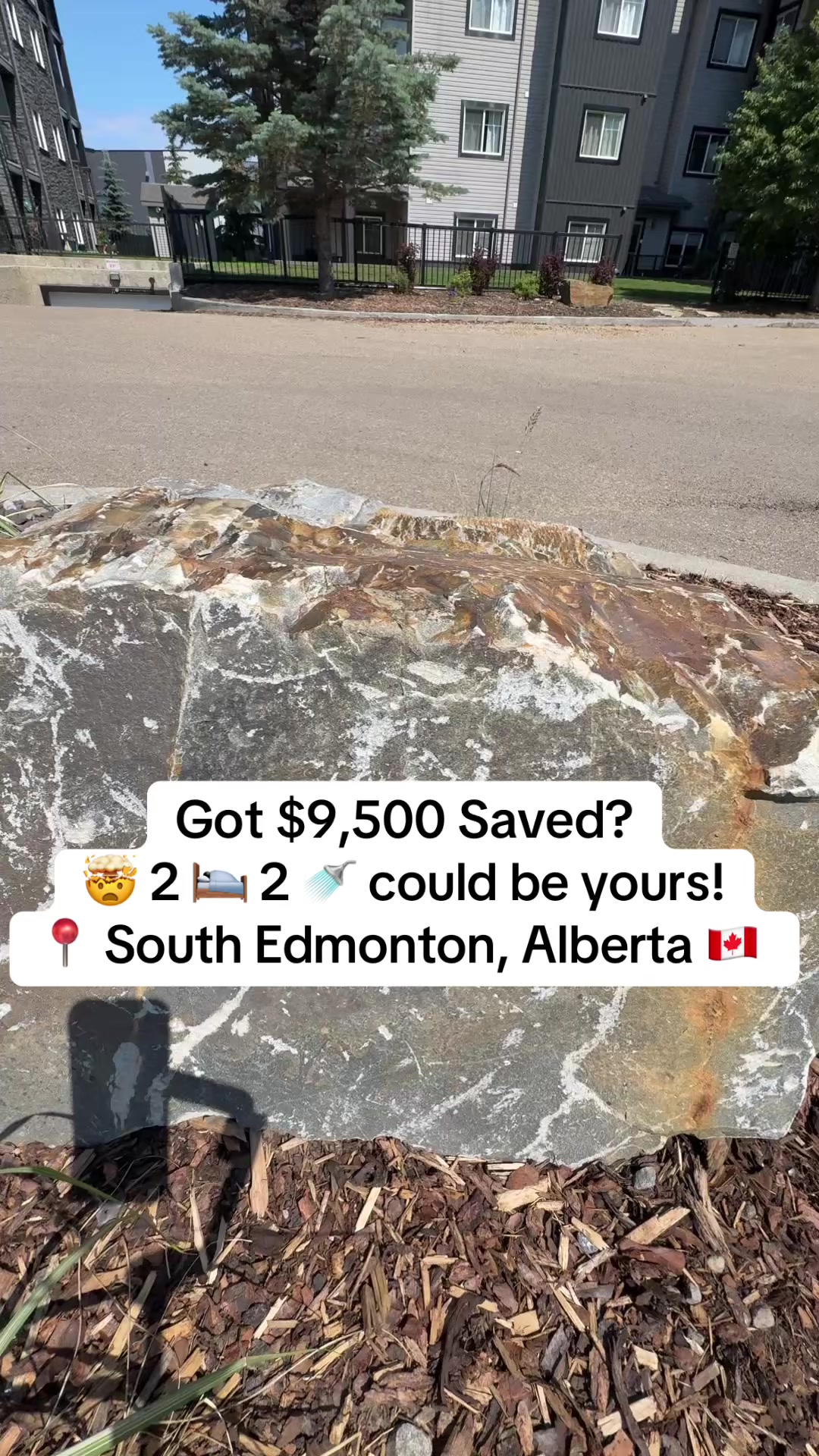 @Marshal Muhammad |YEG REALTOR®