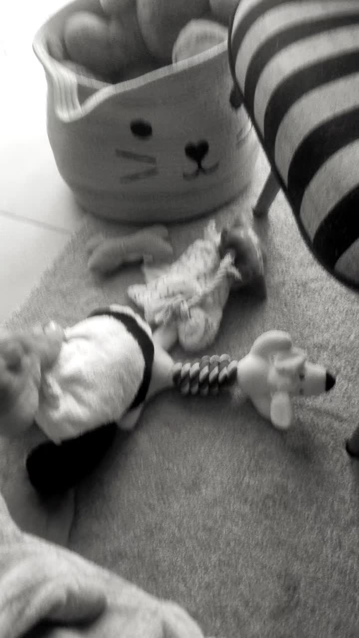@Consigliera👣🐩👁💦💦