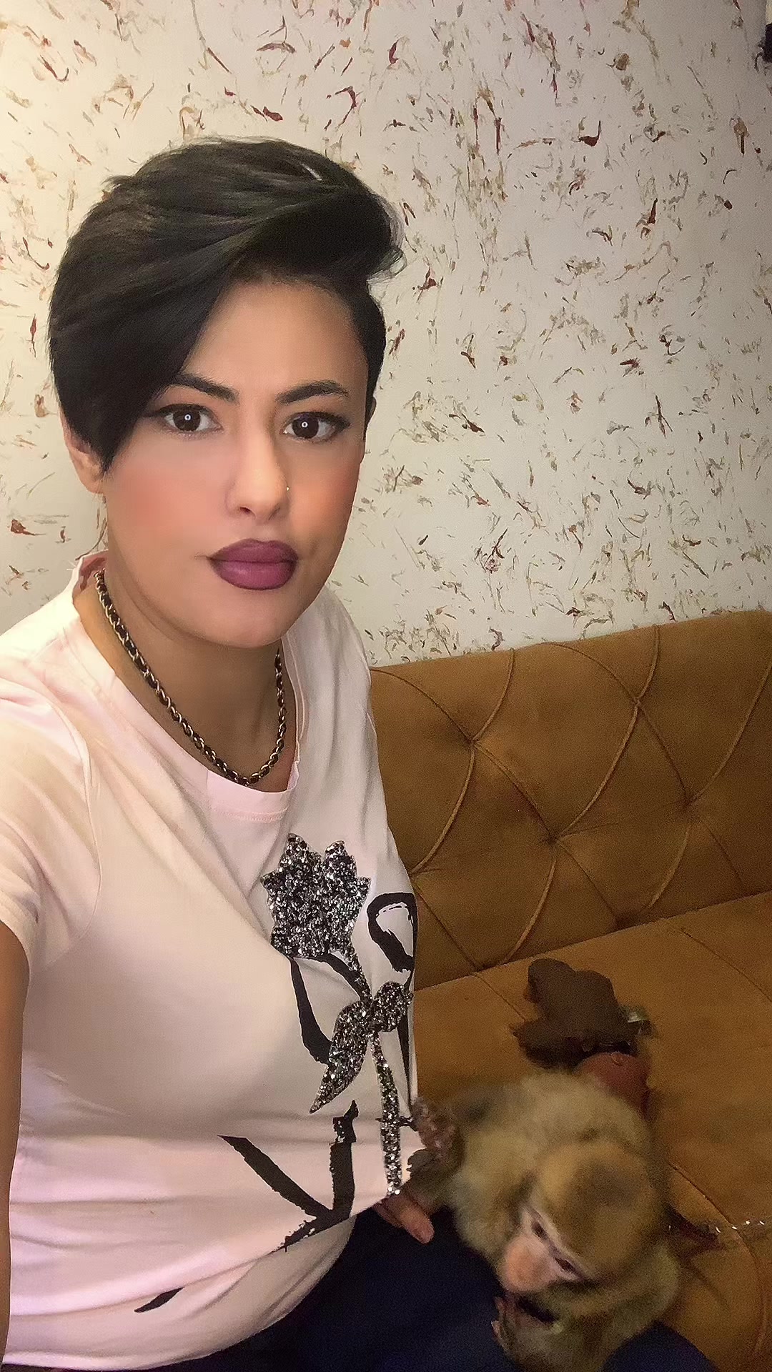 @Jijita