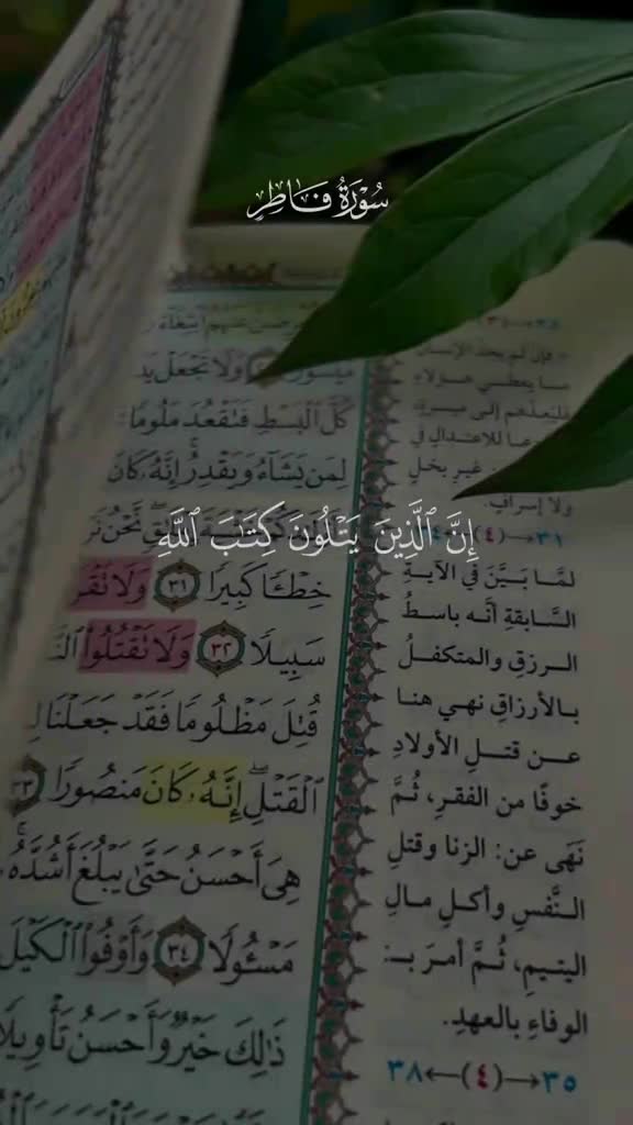 @احمد الحلاوي الحلاوي