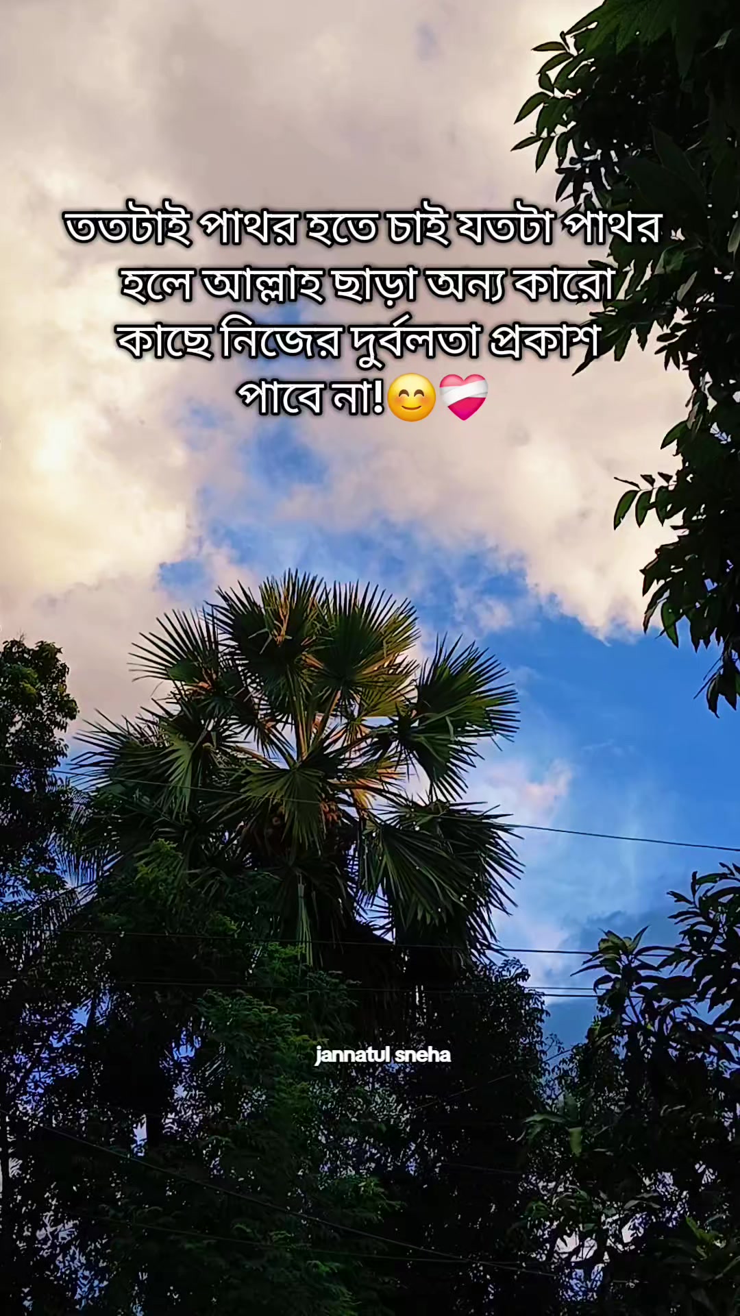 @jannatul sneha
