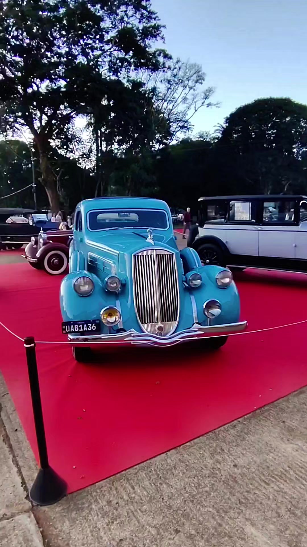 @Cars in Brasil