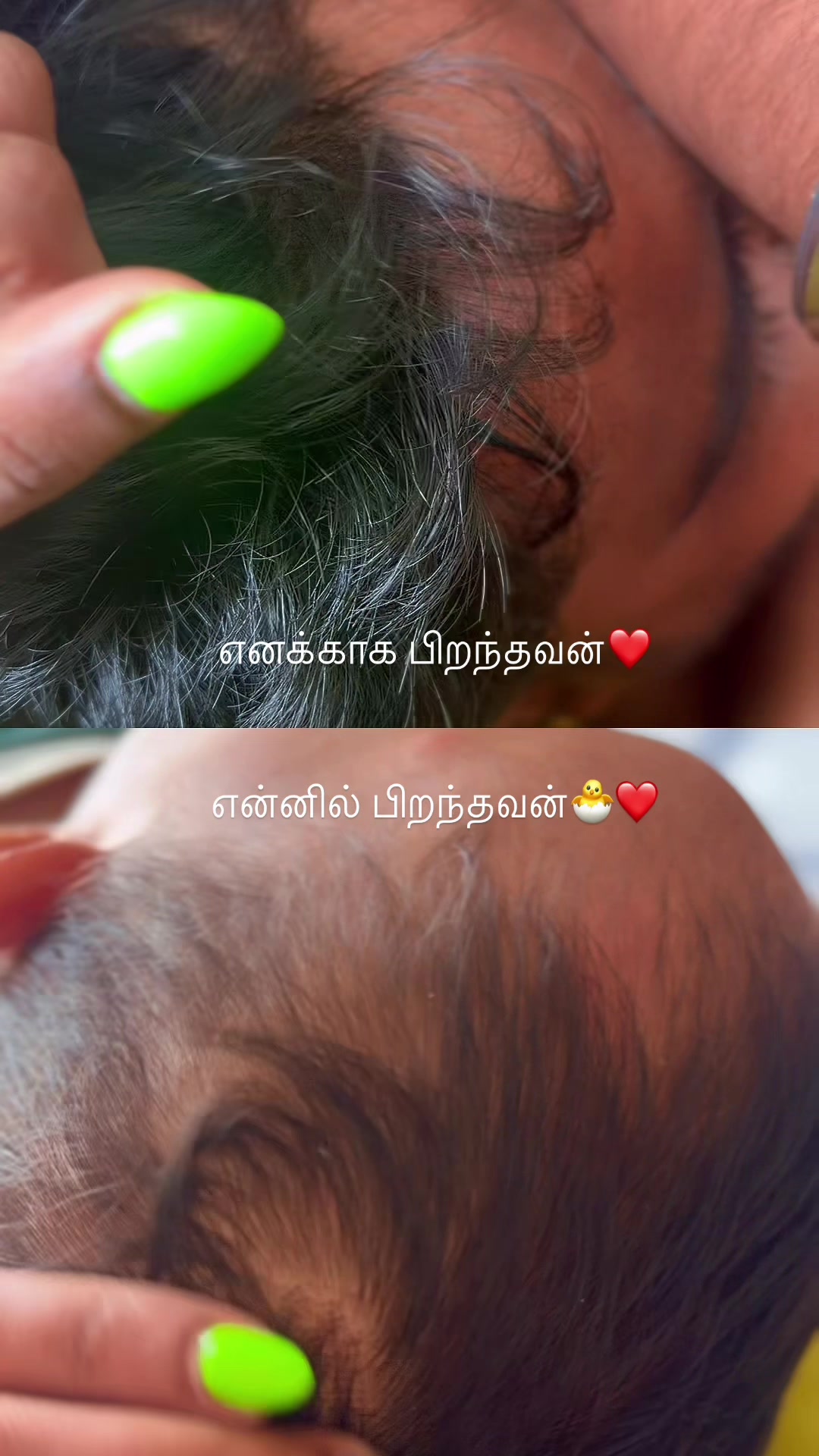 @๐ฅ๐ช๐ผ๐ช๐ท๐ฝ๐ฑ๐ช ๏ฃฟ ๐ฆ