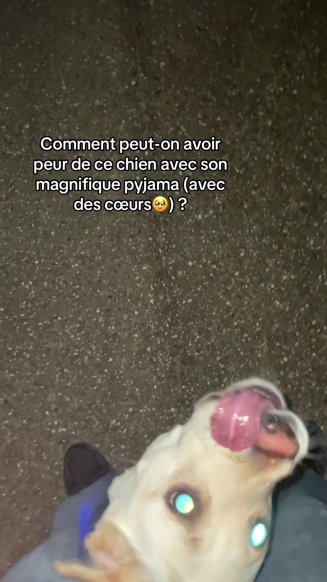 @Z'Max
