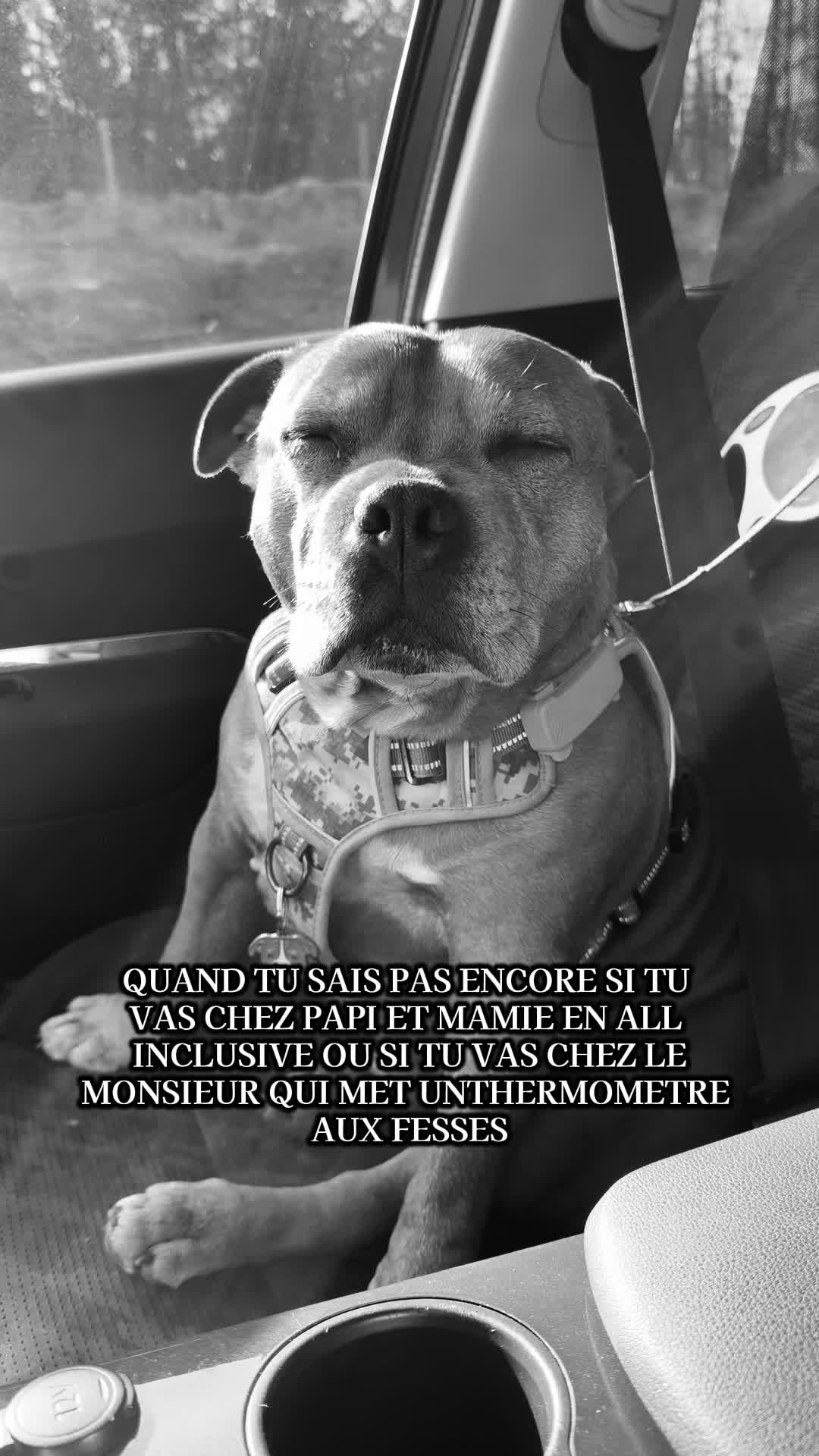@🐾 Malki Red Star 🐾