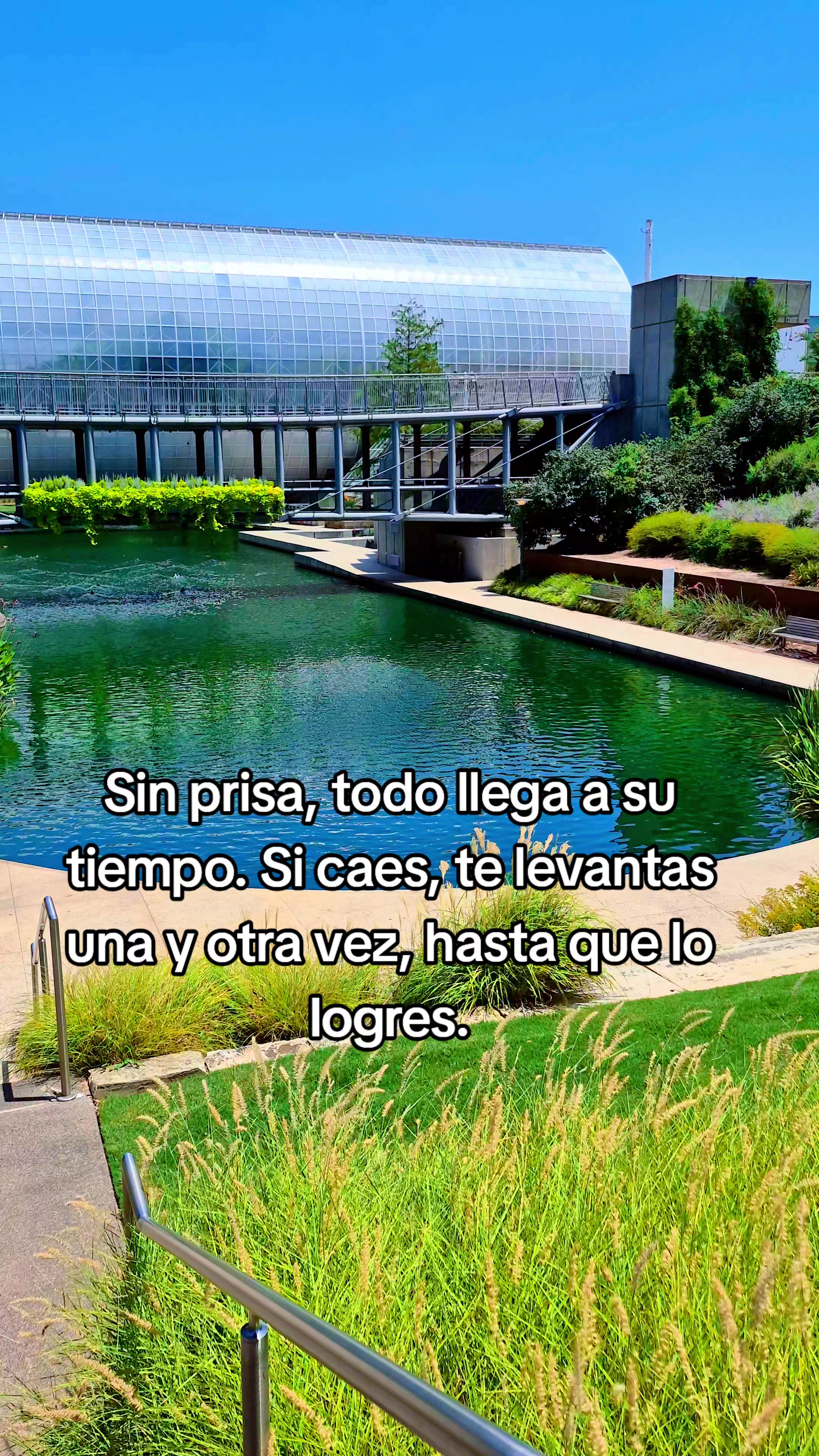 @👽 Jorge Martinez 👽
