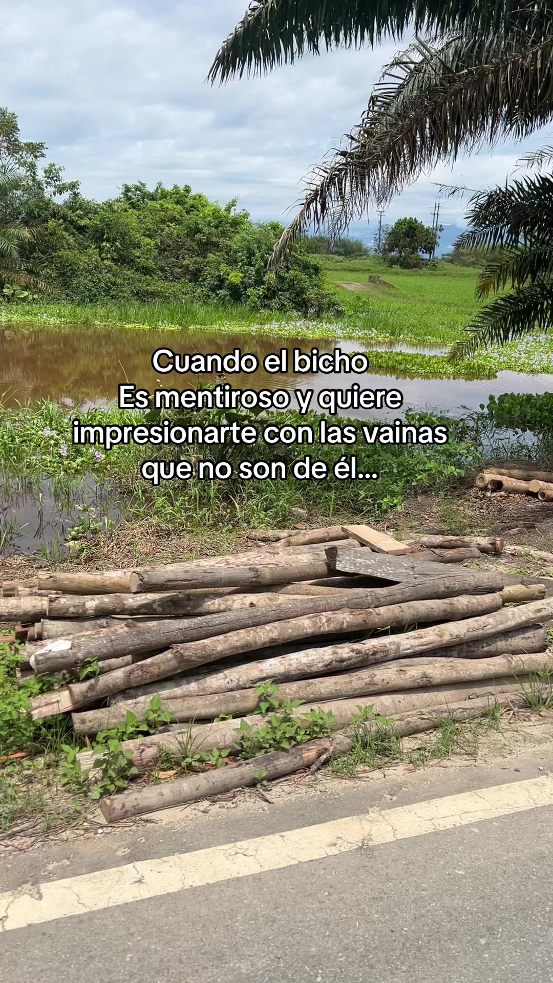 @soy_Genesys