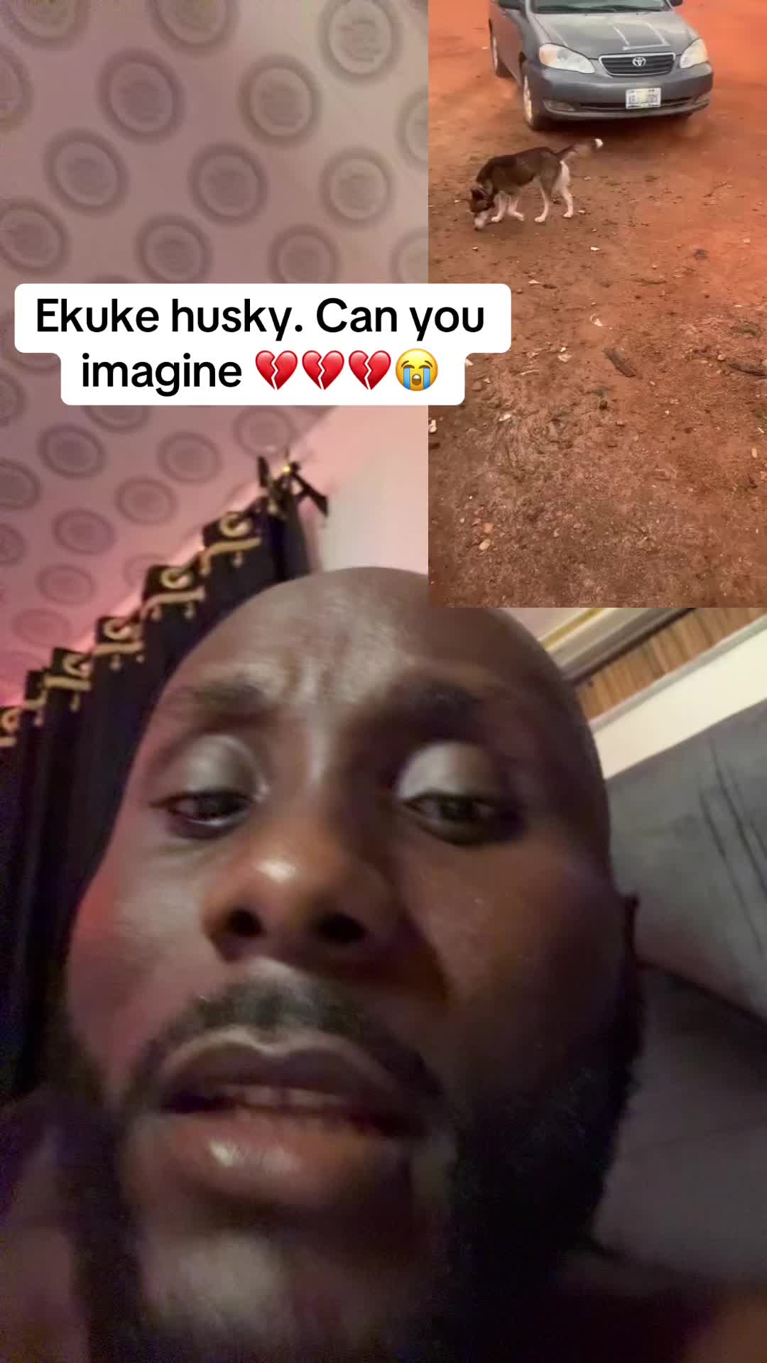 @Mothersheila_DogTv