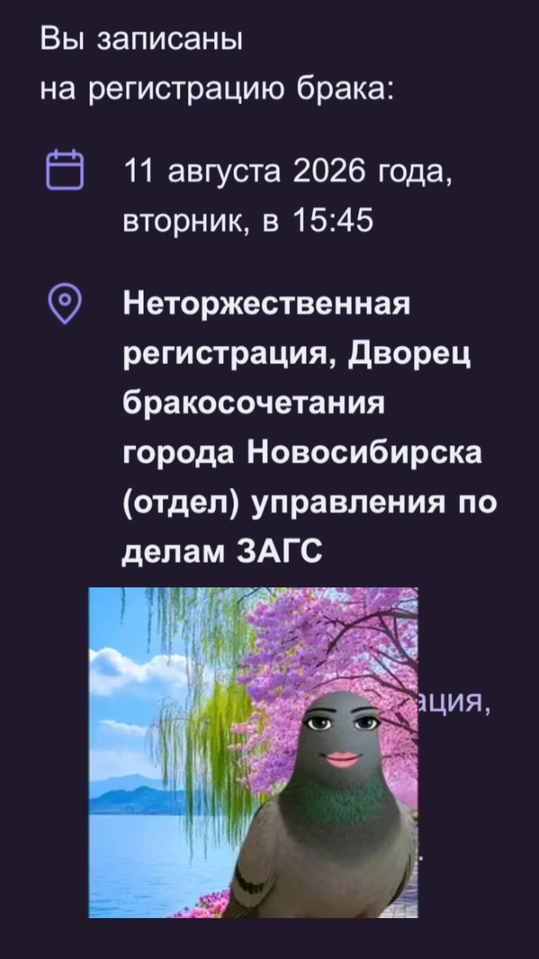 @ridanochka@