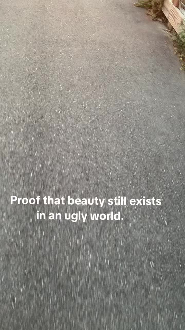 @shekitajefferson