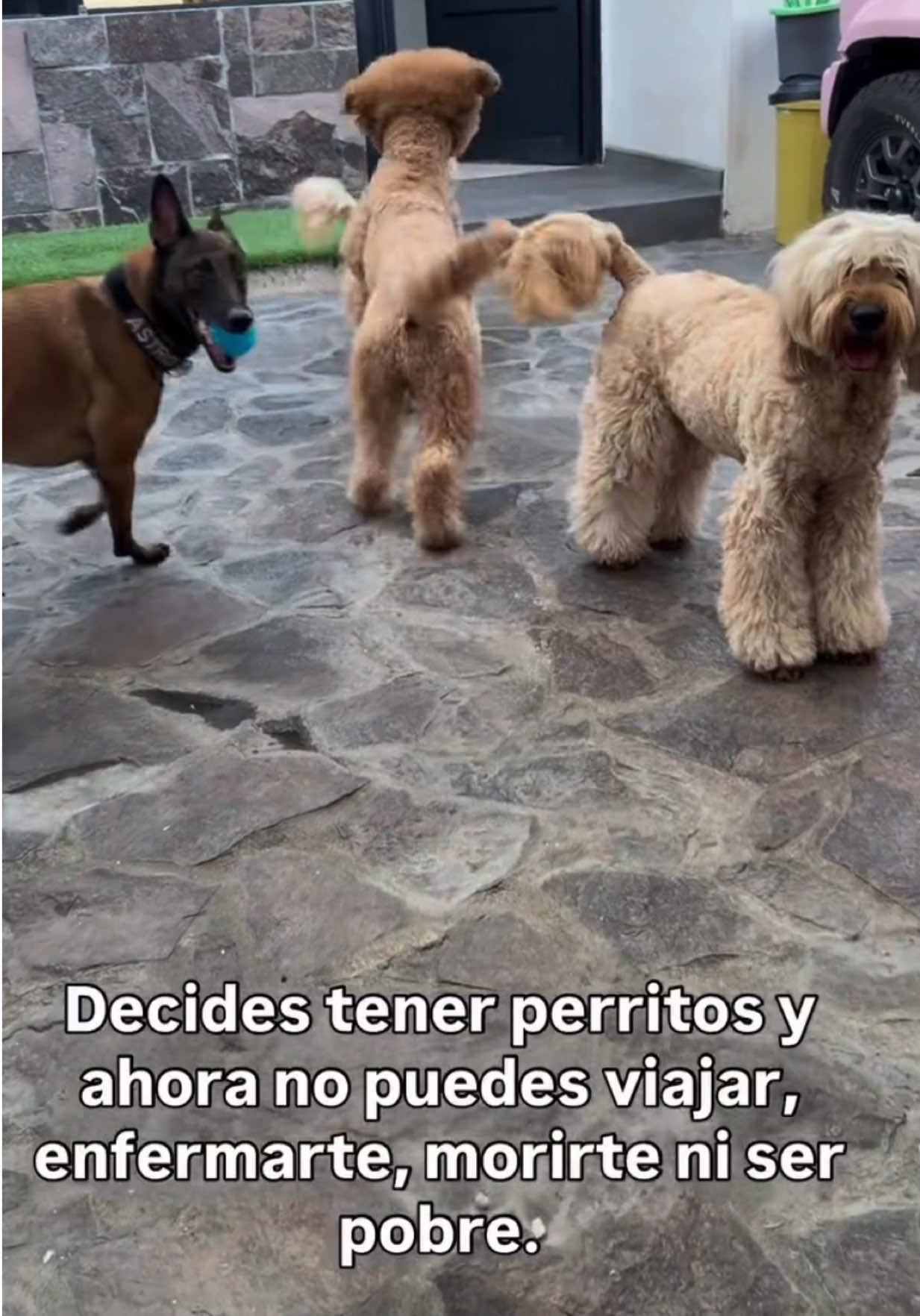 @Marzhe Ponce de Leon