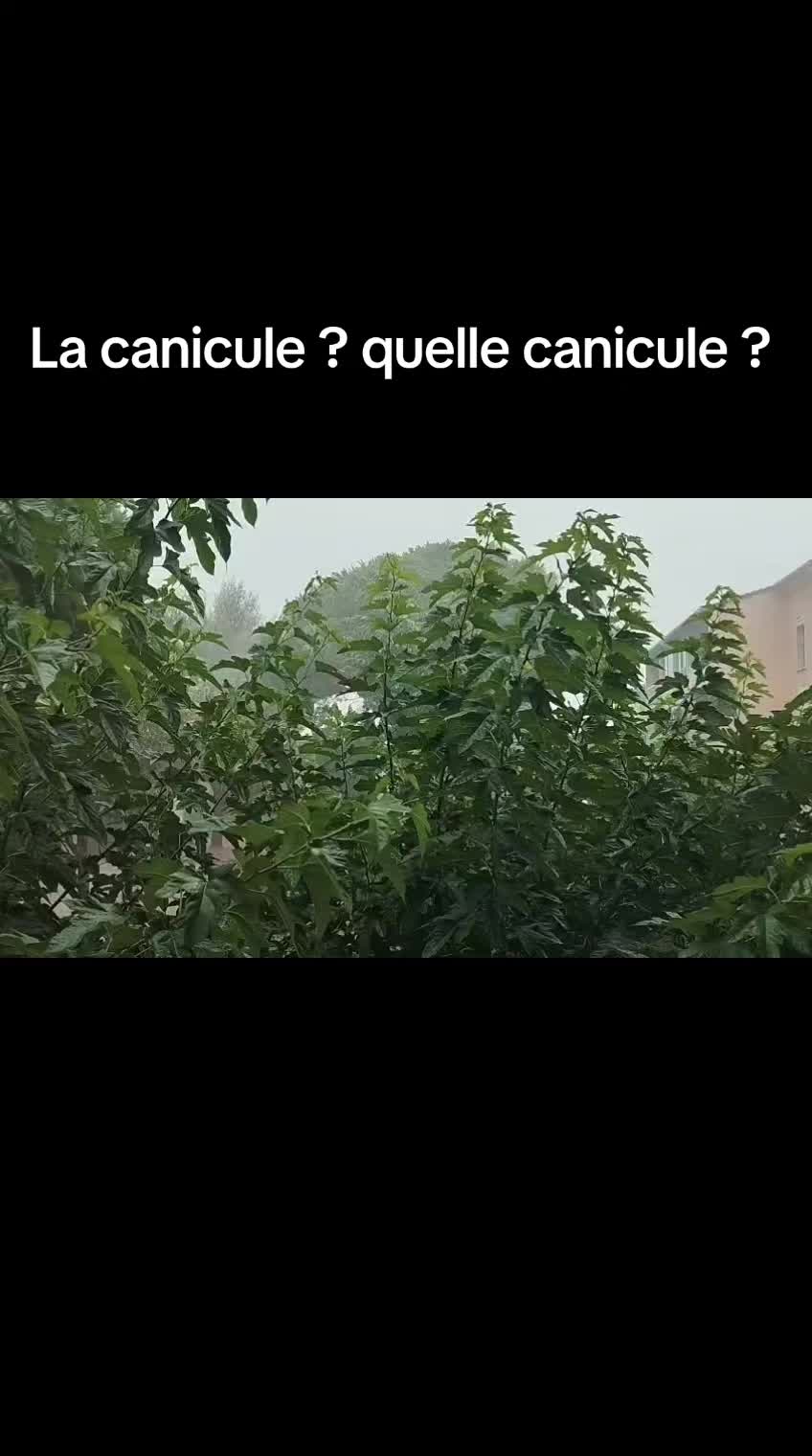 @Paris.est.magik