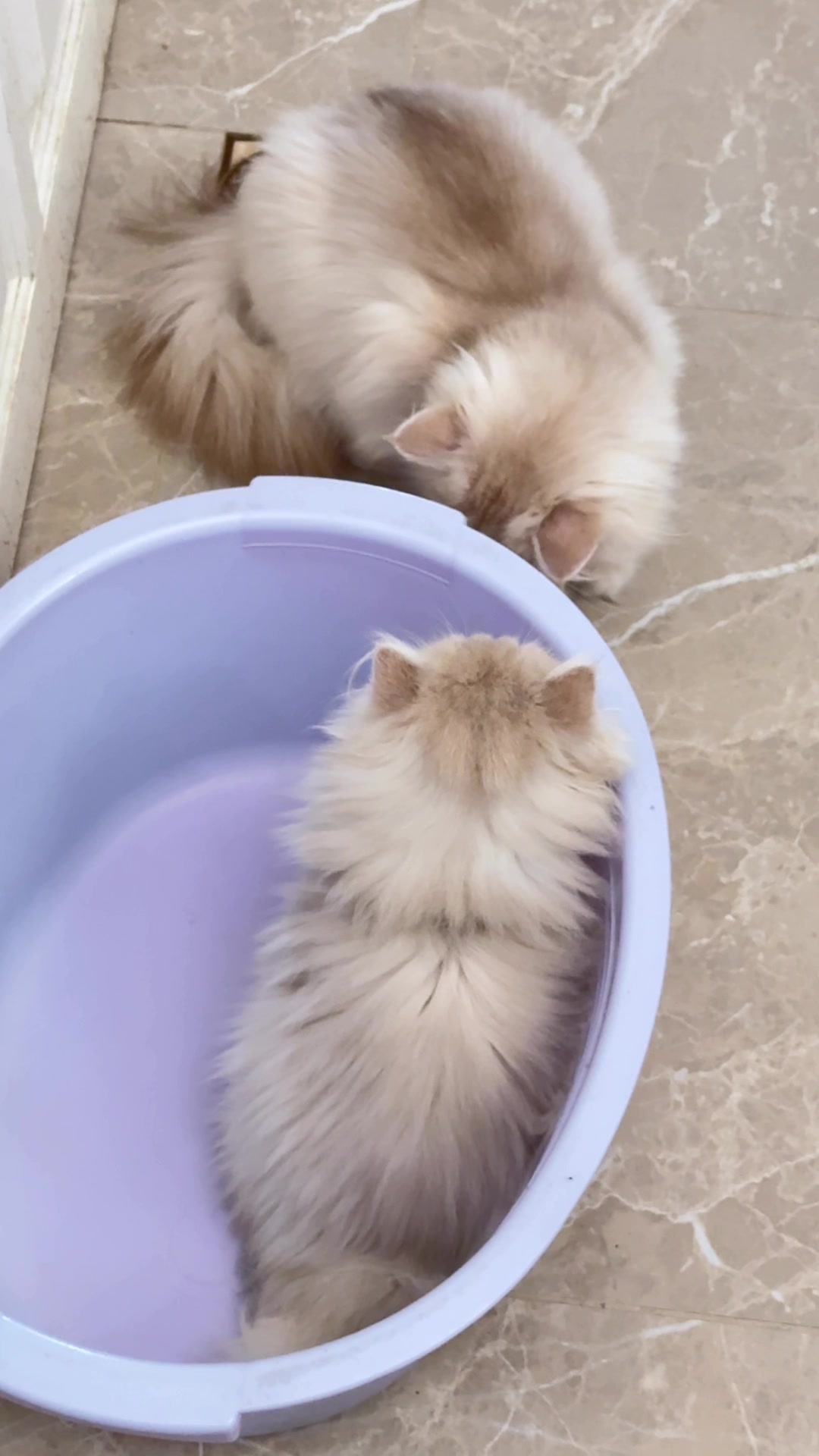 @Анастасия